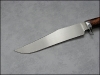 bowie-ironwood-zadziorny-02.jpg