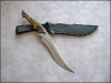 diuna-buckeye-01.jpg