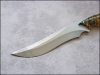 diuna-buckeye-02.jpg