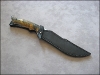 diuna-buckeye-06.jpg