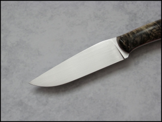 ram-buckeye-02.jpg