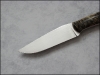 ram-buckeye-02.jpg