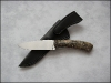 ram-buckeye-05.jpg