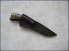 ram-buckeye-06.jpg