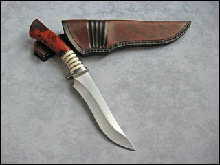seniorita-ironwood-01