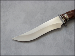 seniorita-redwood-02.jpg