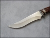 seniorita-redwood-02.jpg