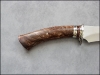 seniorita-redwood-03.jpg