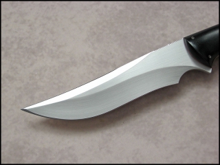 thorn-02.jpg