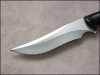 thorn-02.jpg