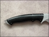 thorn-03.jpg
