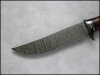Juanita Damascus 02